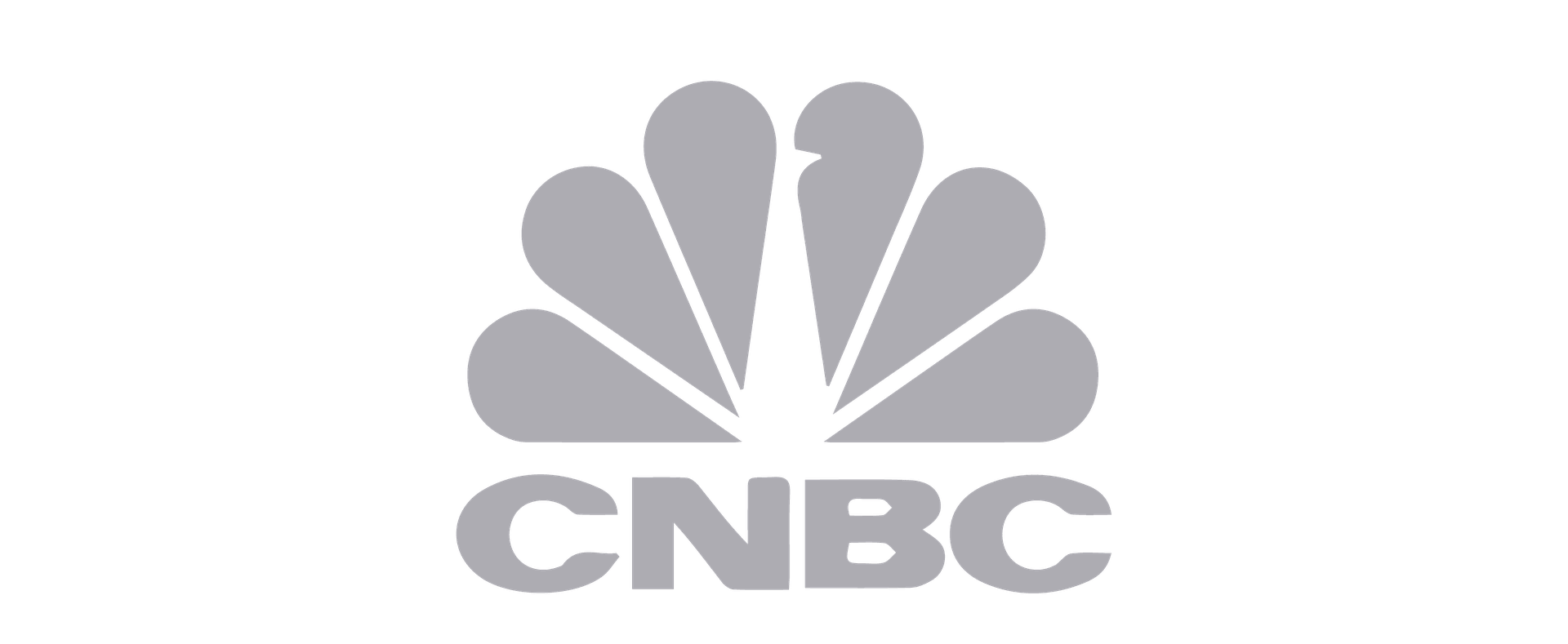 Logo of CNBC featuring a stylized peacock with the letters "CNBC" below it.