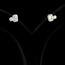 1.45 Cts 14k White Gold Round Shape Studs Earring - Video